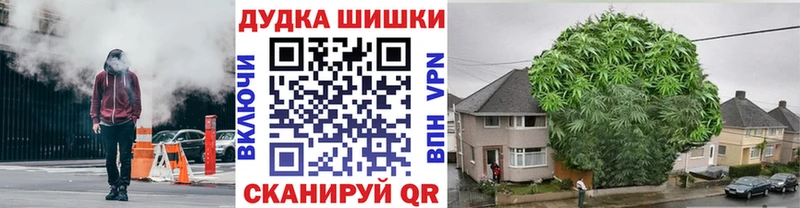 Купить закладки  Заволжск  Бошки марихуана Ganja 